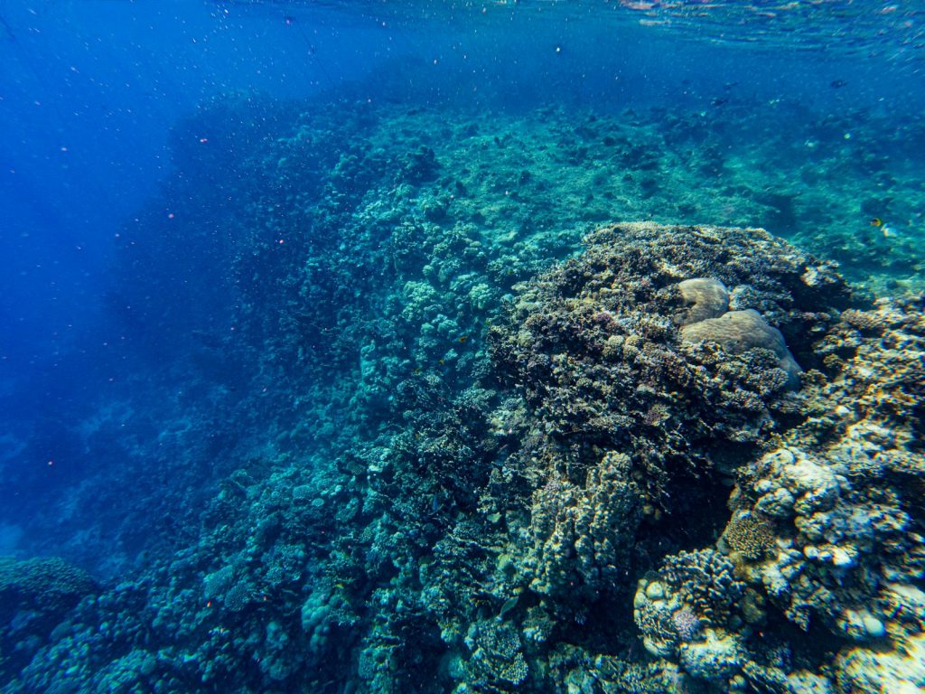 Are Komodo Park Fees Included in a Package?