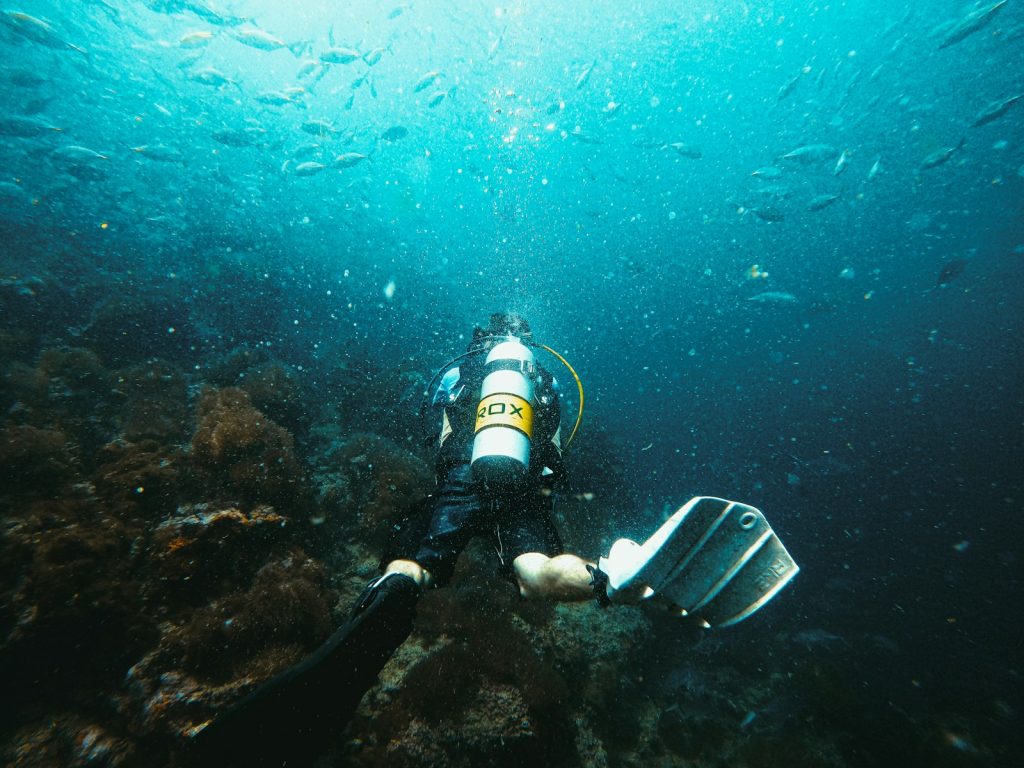 How to Choose a Komodo All-Inclusive Package