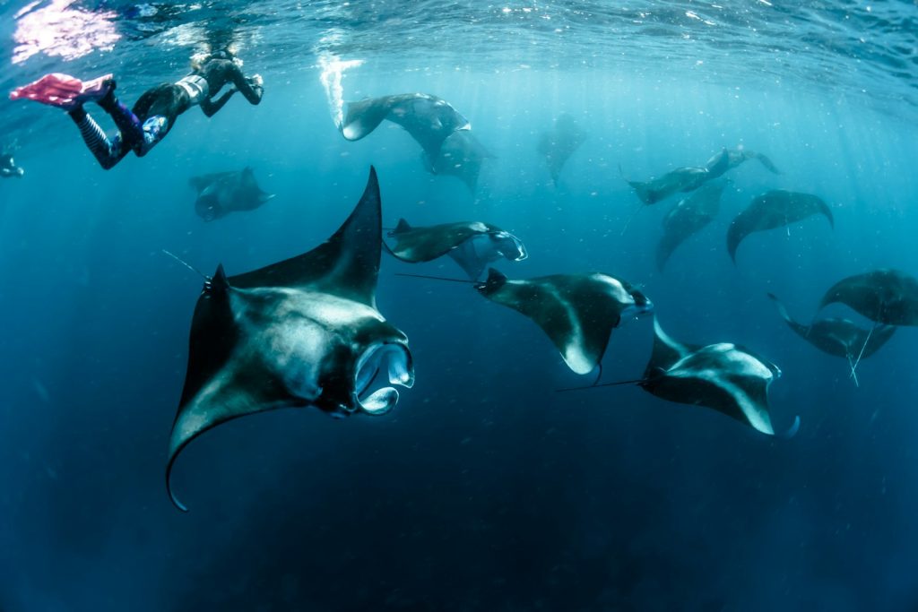 How Much Is an All-Inclusive Komodo Trip?
